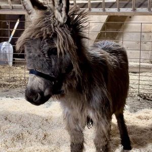 Meet your Posher, Vicki